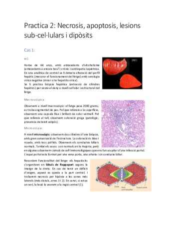 Practicas-AnatoPato-TODAS-con-imagenes.pdf