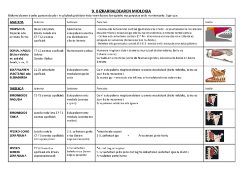 09. BIZKARRALDEAREN MIOLOGIA.pdf