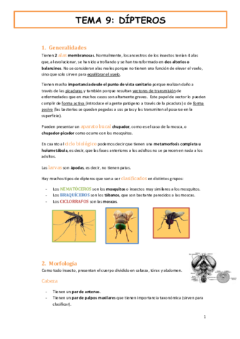 tema-9-fauna-y-salud-DIPTEROS.pdf
