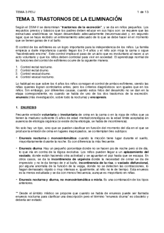 TEMA-3-PEIJ.pdf