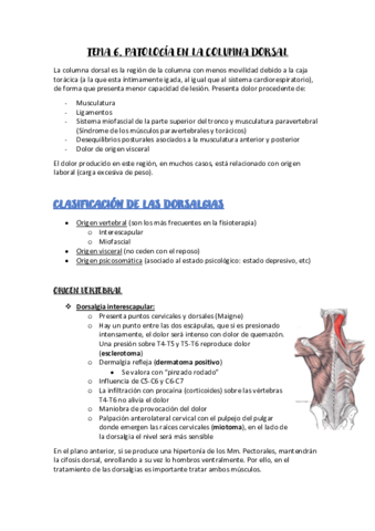 Tema-6-AFMQ-II-J.pdf