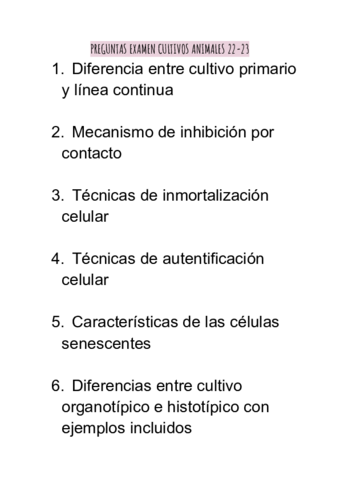 Documento-sin-titulo-5.pdf