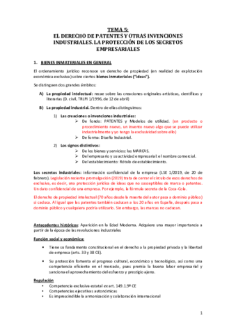Tema-5-MERCANTIL.pdf