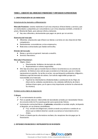 Apuntes COMPLETOS Teoria de los Sistemas Financieros.pdf