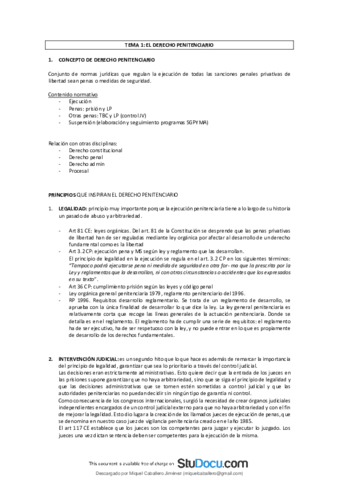 Apuntes COMPLETOS Derecho  Penitenciario.pdf
