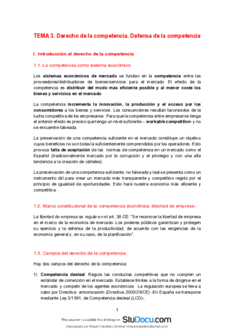 Apuntes COMPLETOS Derecho de Competencia.pdf