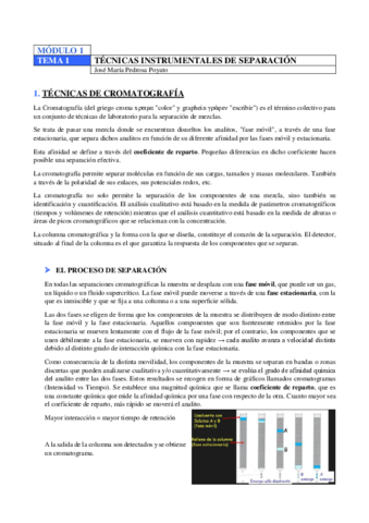 TECNICAS-TEMA-1.pdf
