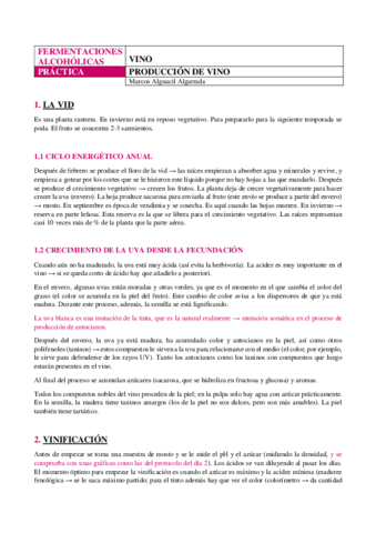 VINO-TEMA-1.pdf