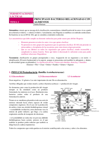 LACTICAS-TEMA-2.pdf