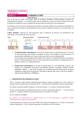 LACTICAS-TEMA-1.pdf