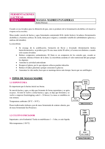 LACTICAS-TEMA-7.pdf