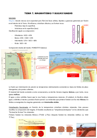 TEMA-7.pdf