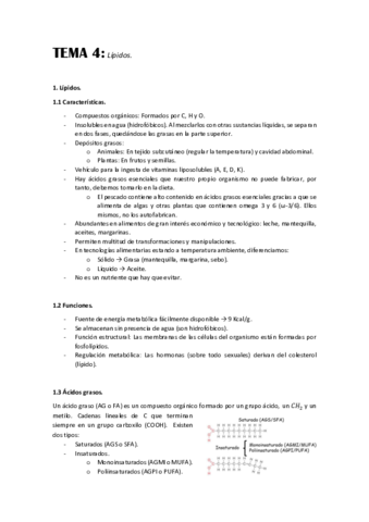 TEMA-4.pdf