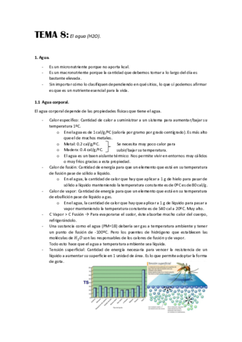 TEMA-8.pdf