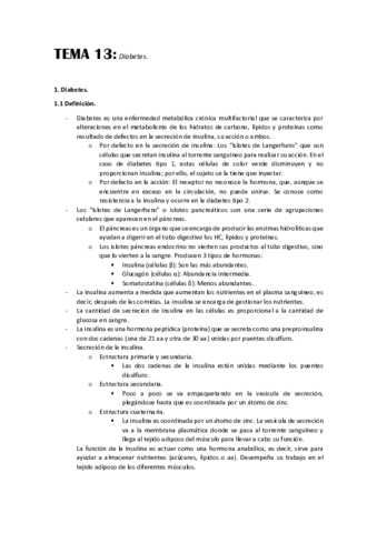 TEMA-13.pdf