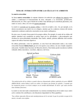 Tema 3 - Interacciones Entre Células.pdf