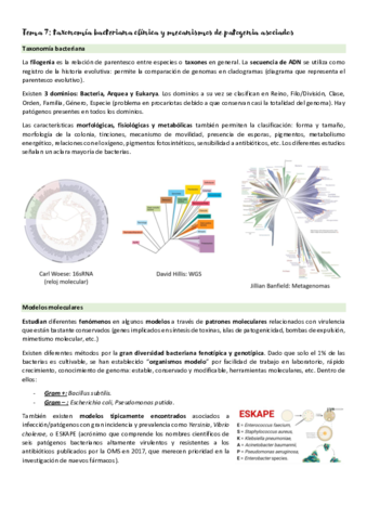 Micromed-T7-hasta-primer-parcial.pdf
