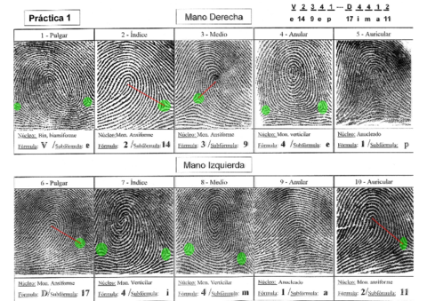 TEMA-2.pdf