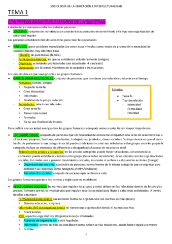 TEMA-1-sociologiaCOMPLETO.pdf