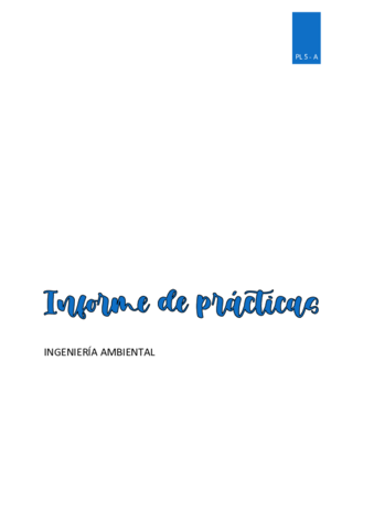 Informe-PLs.pdf