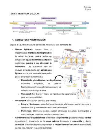 TEMA-2.pdf