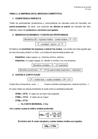 TEMA-6-empresa-en-mercado-competitivo.pdf
