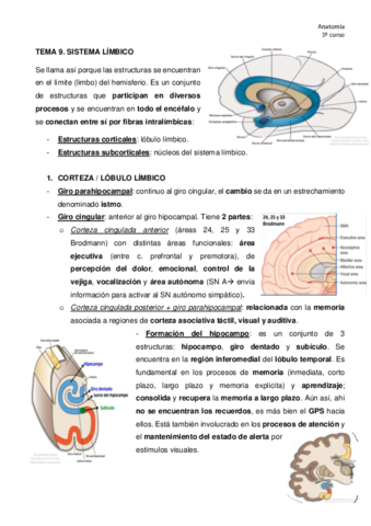 TEMA-9-anatomia.pdf
