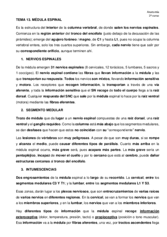 TEMA-13-anato.pdf