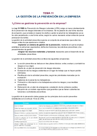 T2-LA-GESTION-DE-LA-PREVENCION-EN-LA-EMPRESA.pdf