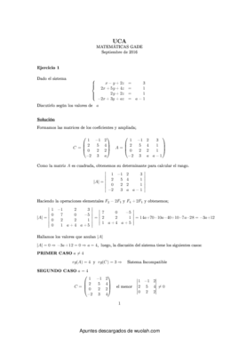 Examen matemáticas resuelto.pdf