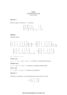 Examen matemáticas resuelto (4).pdf