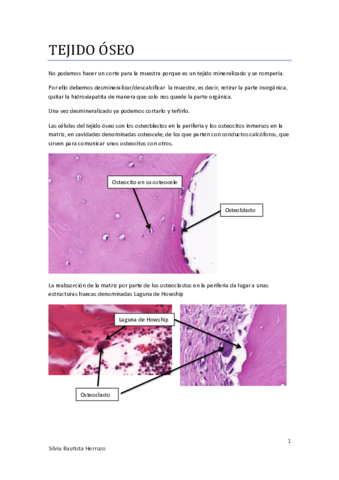 Practicas-Oseo-y-muscular.pdf