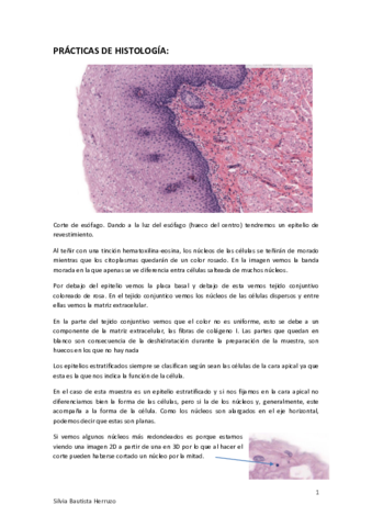Histologia-practicas.pdf