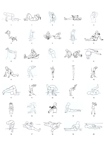 Movilidad-articular-y-flexibilidad.pdf