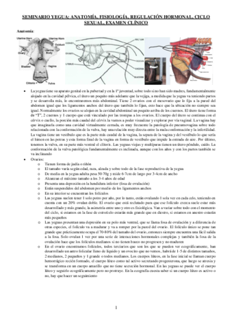 SEMINARIO-YEGUA.pdf