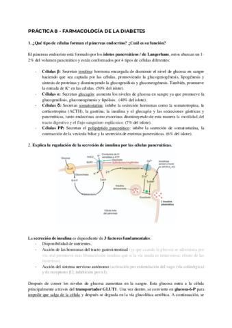 Practica-8-Farma-resuelta.pdf
