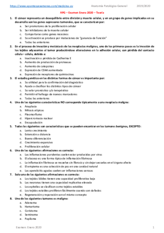 APGExamen-2020-1aConv.pdf