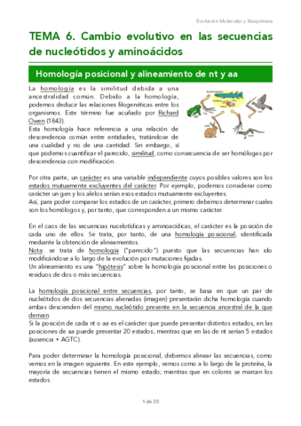 TEMA-6.pdf