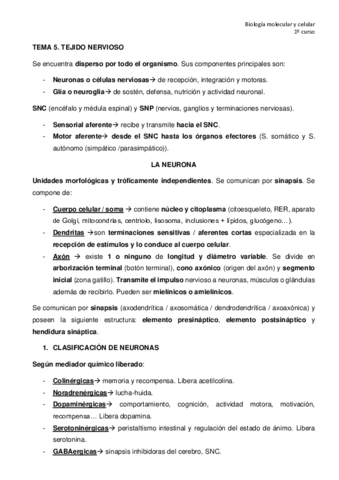 TEMA-5-tejido-nervioso.pdf