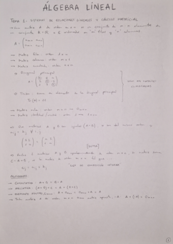 Algebra-Lineal-T.1-S.-de-Ecuaciones-L.-y-Calculo-Matricial.pdf