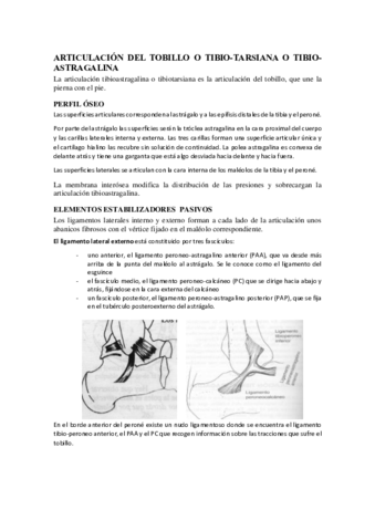 ARTICULACION-DEL-TOBILLO-O-TIBIO.pdf