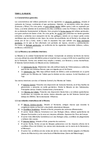 RESUMEN-DE-LOS-6-TEMAS.pdf