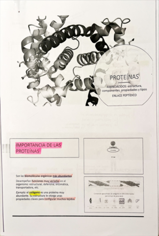 Tema 4 Proteínas.pdf