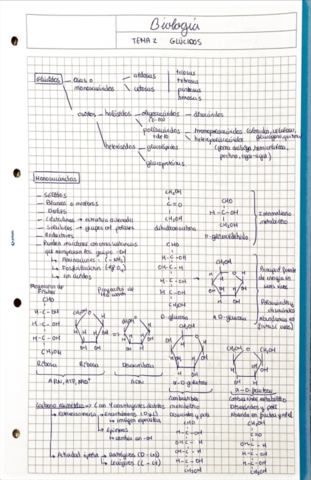 BiologiaResumen-tema-2.pdf
