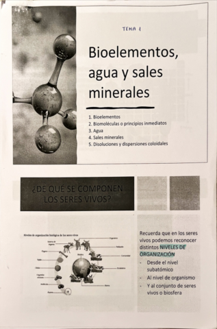 Tema 1 Agua y sales minerales.pdf