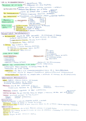 Tema-1-Generalidades.pdf