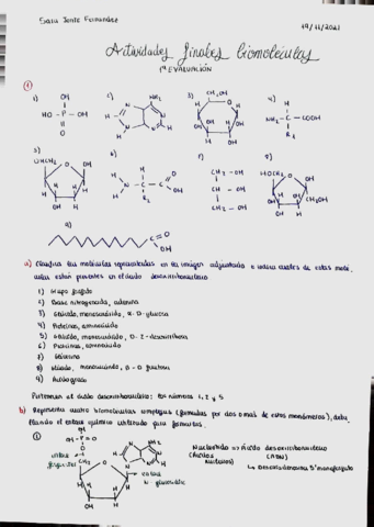 Actividades-finales-biomoleculas-1a-eva.pdf