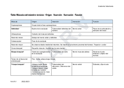 Tabla-Musculos-Miembro-Toracico.pdf