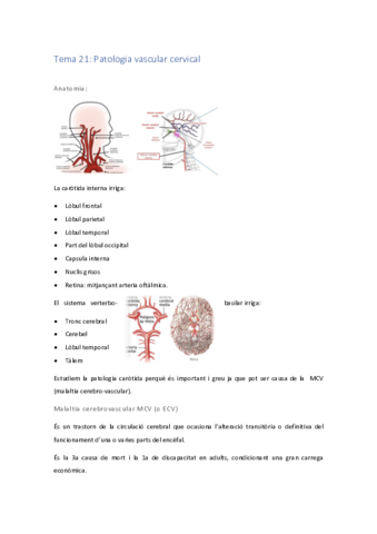 Patologia-Vascular-Cervical.pdf