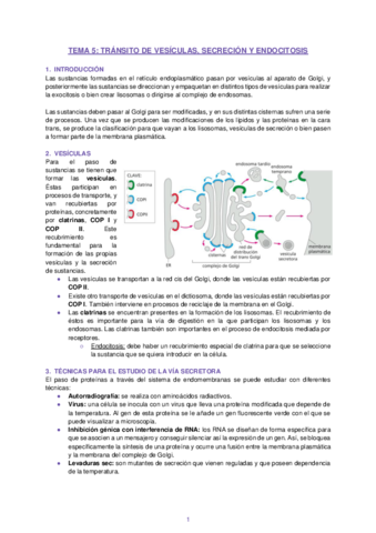 Apuntes-Tema-5-Biologia-Celular.pdf